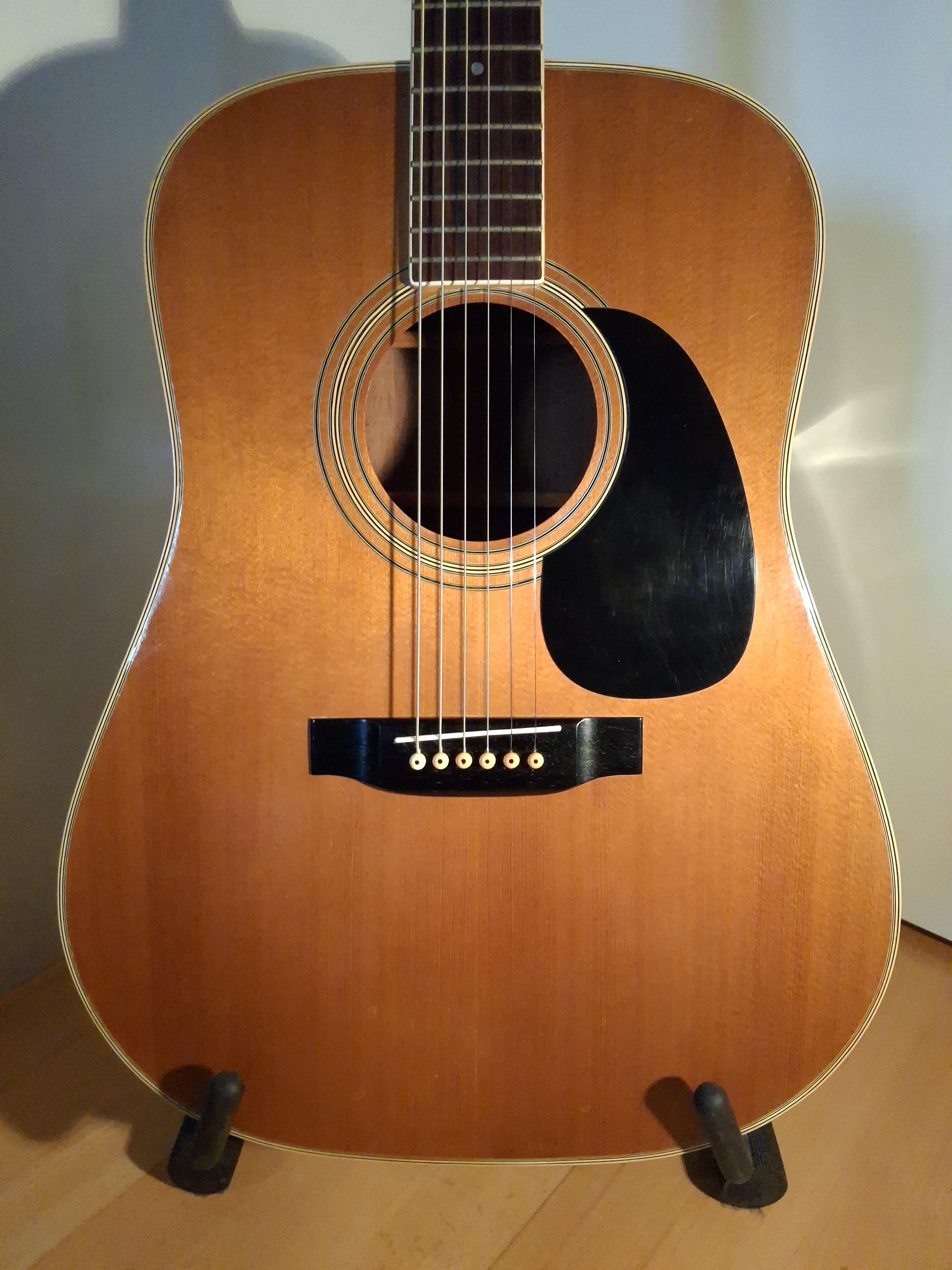Vintage Pearl Guitars